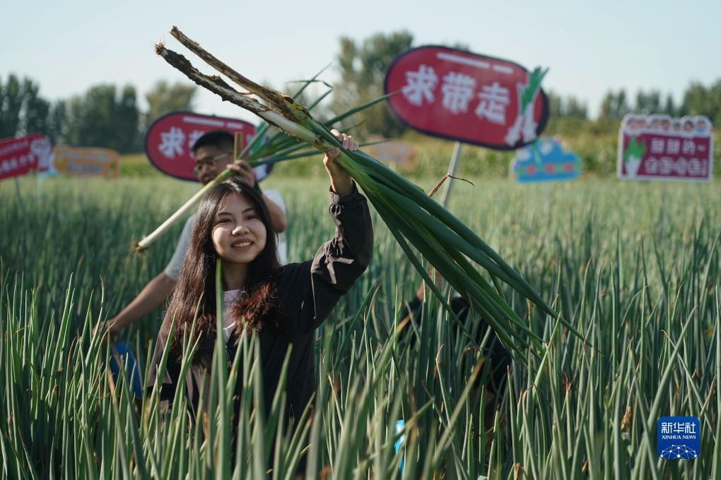 黄金赌城